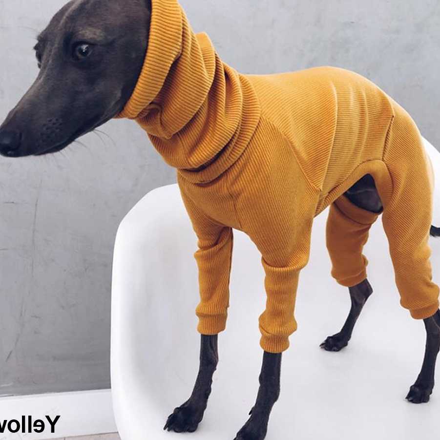 Opinie Autum Greyhound - cienkie ubrania dla psów z wysokimi szyjka… sklep online