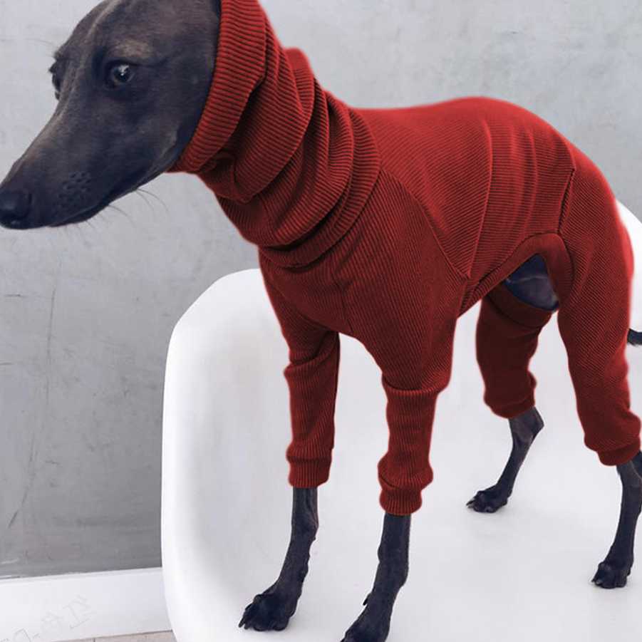 Opinie Autum Greyhound - cienkie ubrania dla psów z wysokimi szyjka… sklep online