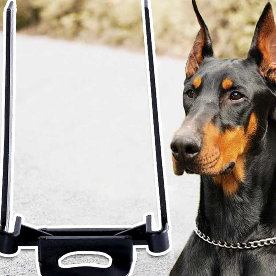 Tanio Stojak do pielęgnacji uszu dla psa - Stand Up Dog Ear Care T… sklep
