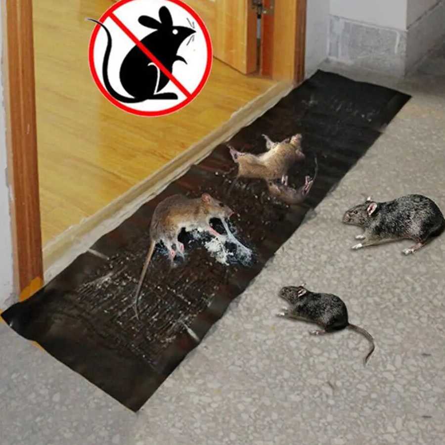 Tanie 1.2M kuchnia dom lep na myszy przyklejony klej na szczury te… sklep internetowy