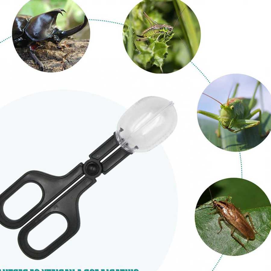 Specjalne Crawler Clip Insect Traps łapacz owadów Crawler Cl…
