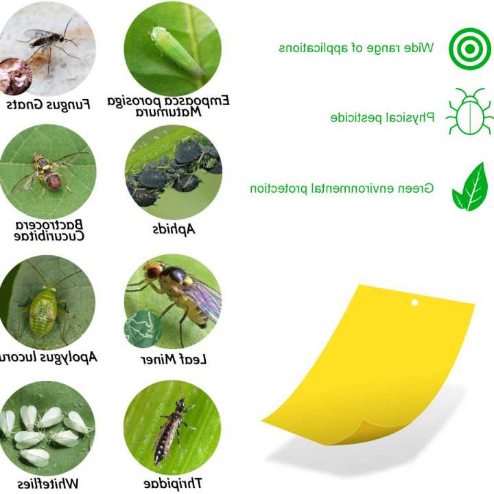 Opinie Żółte pułapki na muchy i owady - 30 znaków
Klejące pułapki n… sklep online