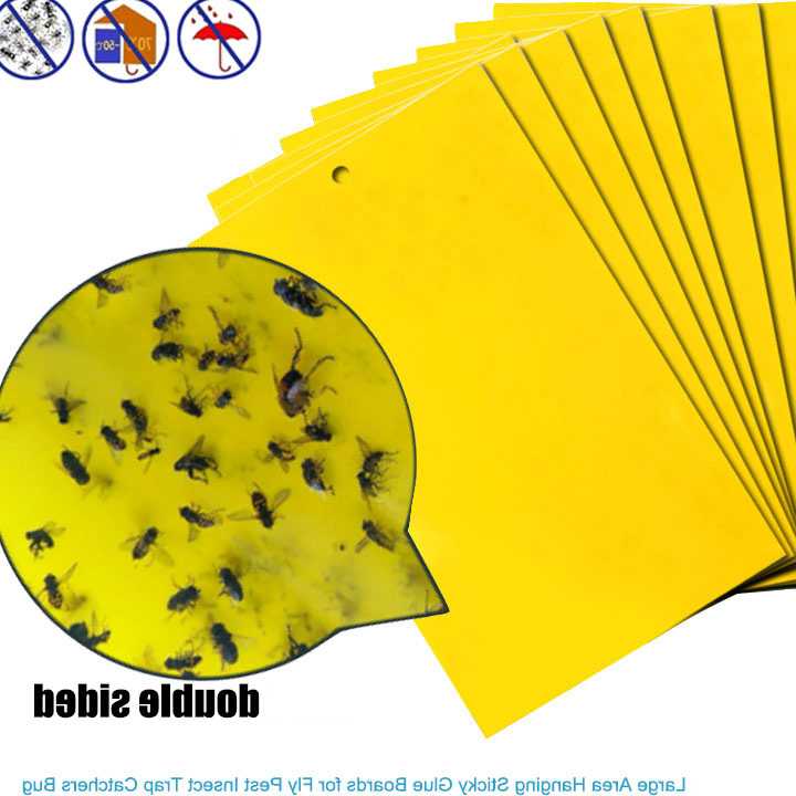 Opinie Żółte pułapki na muchy i owady - 30 znaków
Klejące pułapki n… sklep online