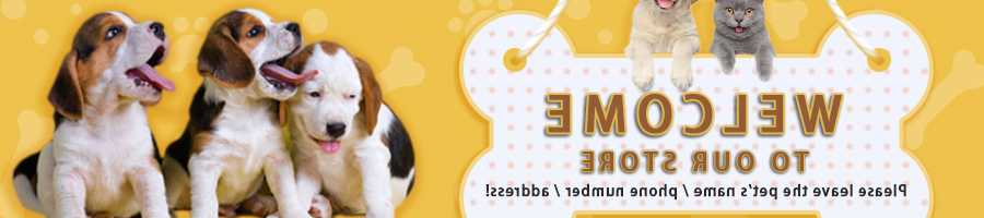 Tanie Spersonalizowane Dog Plate grawerowane Pet Badge Anti-lost M… sklep internetowy