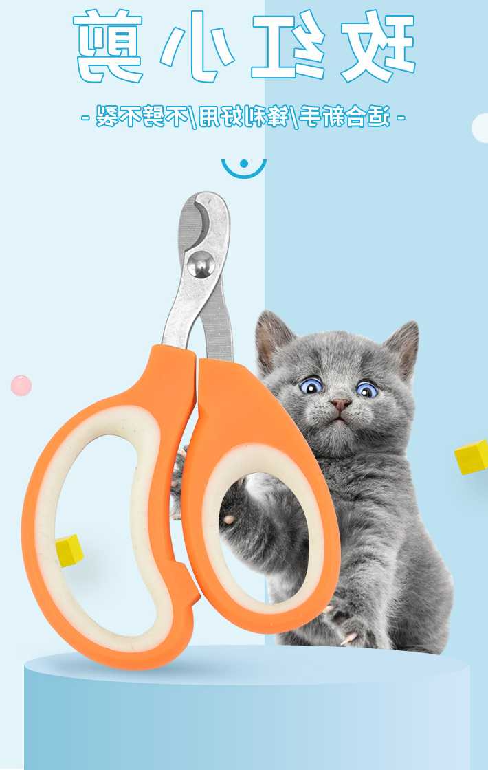 Opinie Kot domowy obcinacz do paznokci ze stali nierdzewnej obcinac… sklep online