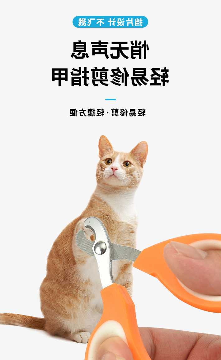 Opinie Kot domowy obcinacz do paznokci ze stali nierdzewnej obcinac… sklep online