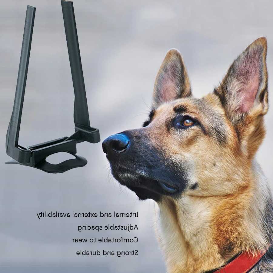 Tanie Stojak do pielęgnacji uszu dla psa - Stand Up Dog Ear Care T…
